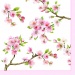 SERWETKI PAPIEROWE - Sakura - Kwitnąca Wiśnia