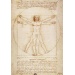 Figurka Parastone LEONARDO DA VINCI - Vitruvian Man - L`Home de vitruve (1490) - BRUNATNA - 22 cm