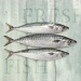 PAPIEROWE SERWETKI - Fresh Fish - Świeże Ryby