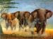 SZKLANA DESKA KUCHENNA - MATOWA Elephants - Słonie w stadzie