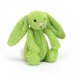Pluszowy króliczek Jellycat - zielone jabłuszko - 18 cm