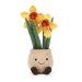 Amuseable Daffodil Pot ŻONKIL W DONICZCE