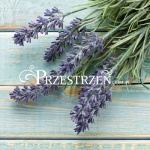 SERWETKI PAPIEROWE - Francuska Lawenda - French Lavender